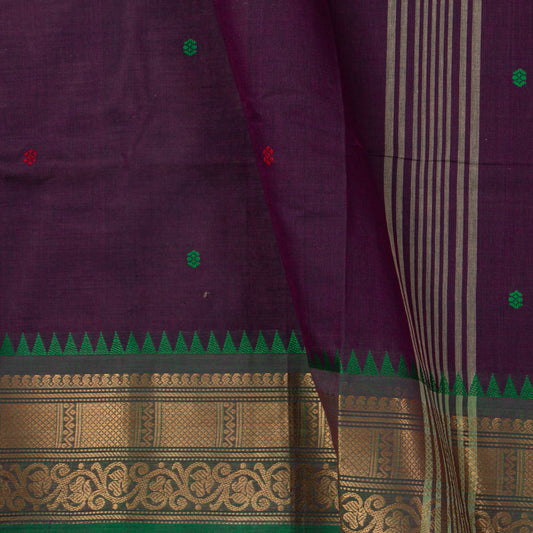 Wine Kanchi Cotton Saree Ganga Jamuna Border For Festive Wear PV MM KC 813