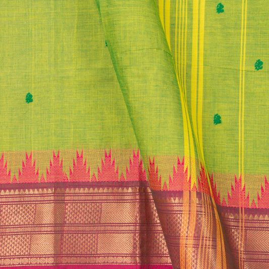 Green Kanchi Cotton Saree Ganga Jamuna Border For Festive Wear PV MM KC 551 - Cotton Saree - Panjavarnam PV MM KC 551