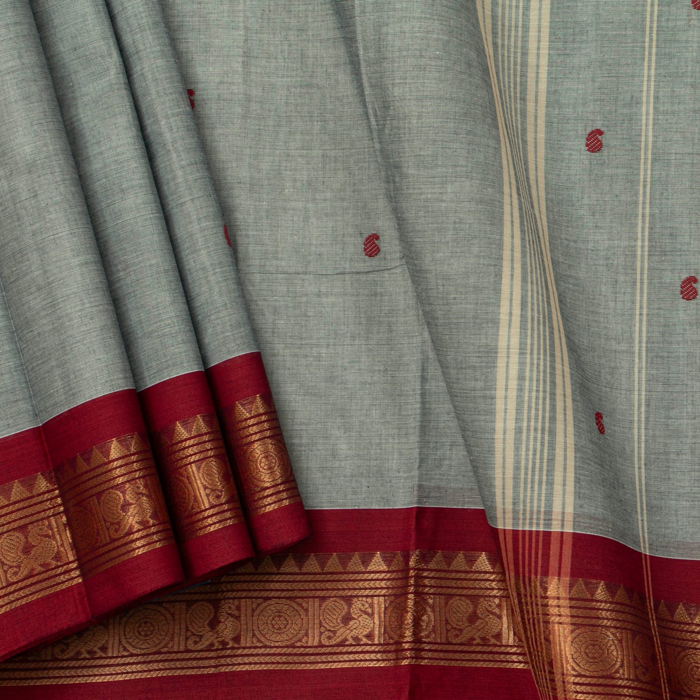 Grey Kanchi Cotton Saree Ganga Jamuna Border For Festive Wear PV MM KC 418