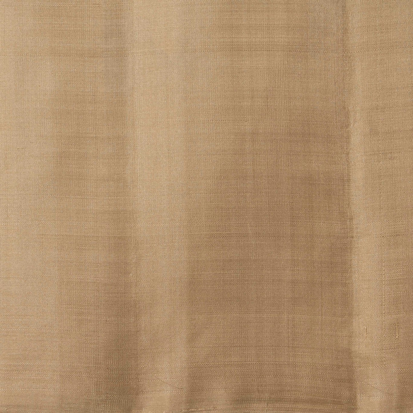 Off White And Beige Borderless Kanchipuram Soft Silk Saree For Festive Wear PV RSP 164