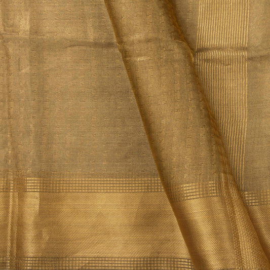 Beige Banarasi Tissue Silk Saree PBT 312 - Banarasi Silk - Panjavarnam PBT 312