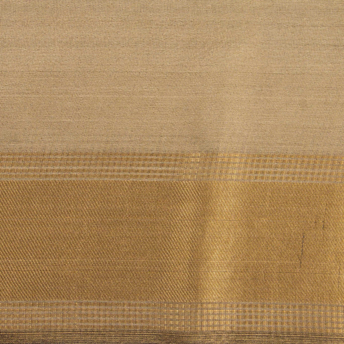 Beige Banarasi Tissue Silk Saree PBT 312 - Banarasi Silk - Panjavarnam PBT 312