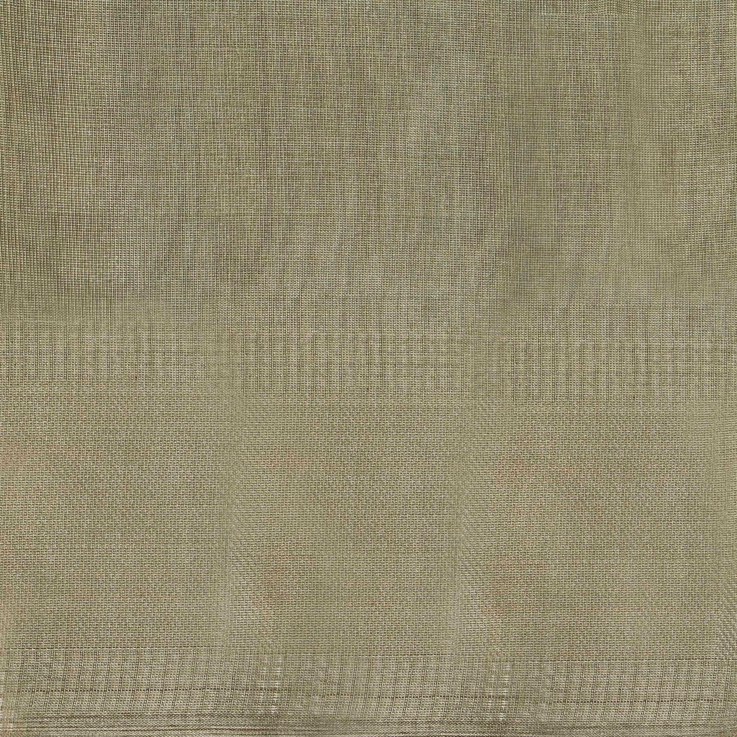 Silver Banarasi Tissue Silk Saree PBT 314 - Banarasi Silk - Panjavarnam PBT 314