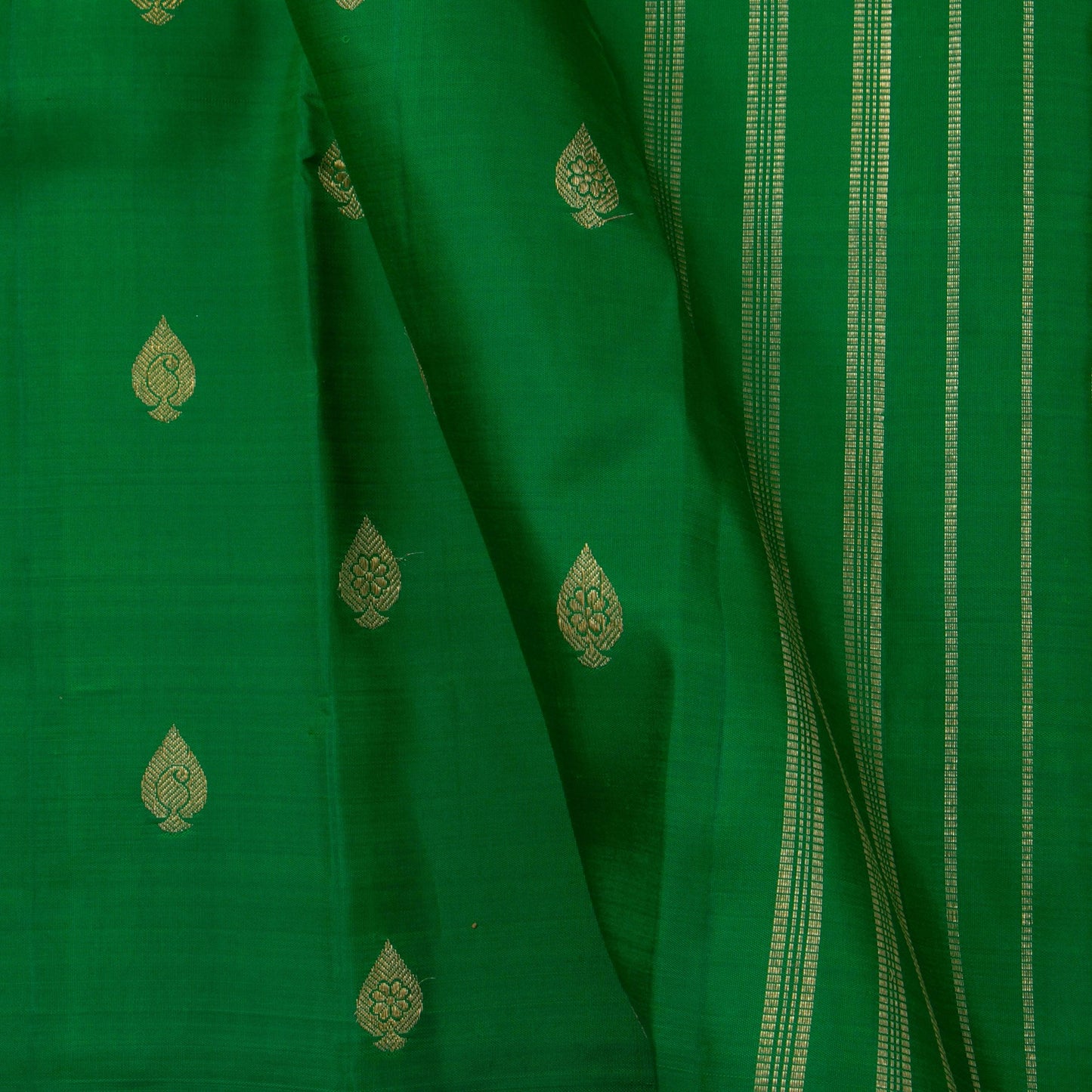 Green Kanchipuram Borderless Silk Saree Handwoven Pure Silk Pure Zari For Festive Wear PV GTA 101 - Silk Sari - Panjavarnam PV GTA 101