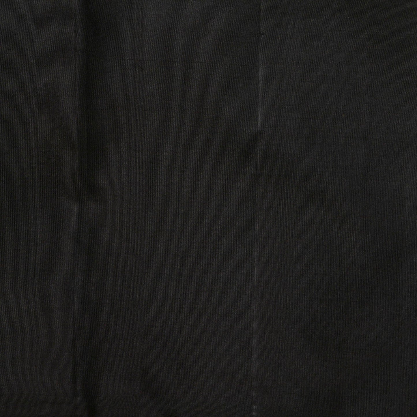 Off White And Black Kanchipuram Silk Saree Borderless Handwoven Pure Silk For Festive Wear PV NYC 1277 - Silk Sari - Panjavarnam PV NYC 1277