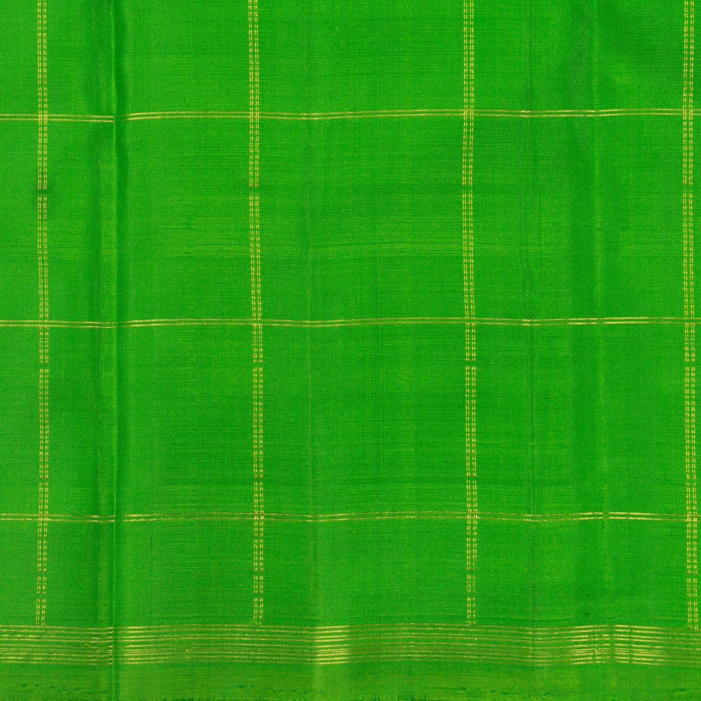 Green Kanchipuram Borderless Silk Saree For Festive Wear PV NYC 1411