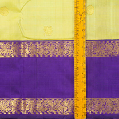 Pista Green And Violet Kanchipuram Silk Saree With Medium Border For Wedding Wear PV NYC 1263