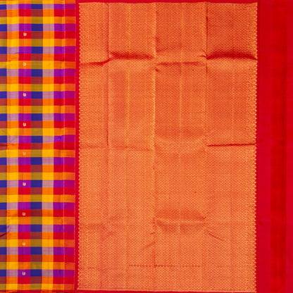 Multi coloured Checks Kanchipuram Silk Saree Borderless For Festive Wear PV MEN 231 - Silk Sari - Panjavarnam PV MEN 231