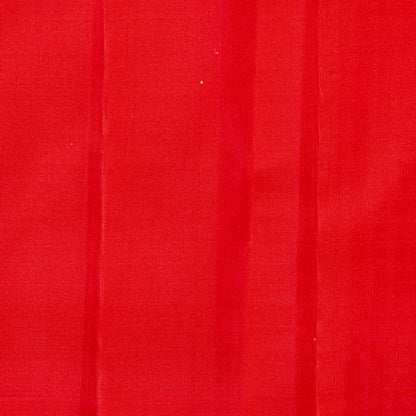 Multi coloured Checks Kanchipuram Silk Saree Borderless For Festive Wear PV MEN 231 - Silk Sari - Panjavarnam PV MEN 231