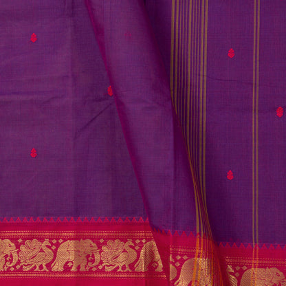 Purple And Pink Kanchi Cotton Saree For Festive Wear PV MM KC 803 - Cotton Saree - Panjavarnam PV MM KC 803