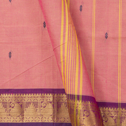 Pink And Magenta Kanchi Cotton Saree For Festive Wear PV MM KC 842 - Cotton Saree - Panjavarnam PV MM KC 842