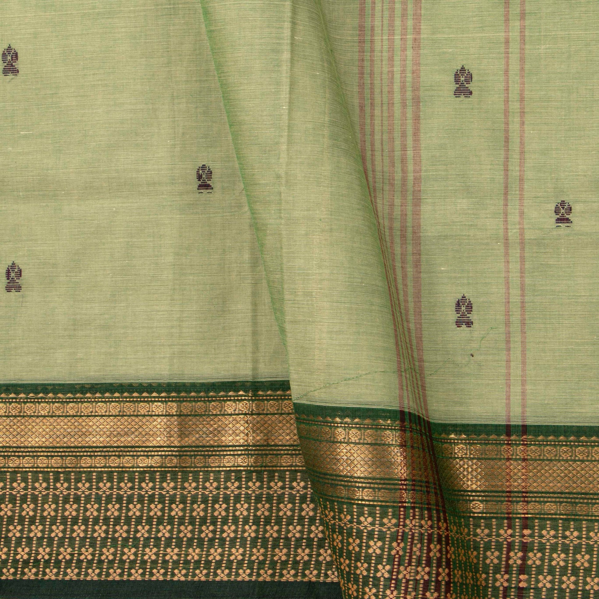 Elachi Green Kanchi Cotton Saree For Festive Wear PV MM KC 829 - Cotton Saree - Panjavarnam PV MM KC 829