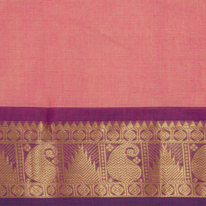 Pink And Magenta Kanchi Cotton Saree For Festive Wear PV MM KC 842 - Cotton Saree - Panjavarnam PV MM KC 842