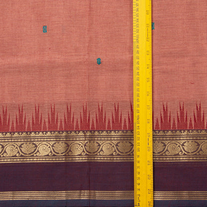 Gheva And Purple Kanchi Cotton Saree For Festive Wear PV MM KC 899