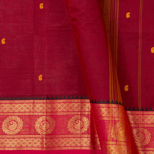 Maroon And Pink Kanchi Cotton Saree For Festive Wear PV MM KC 798