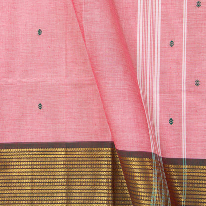 Pink And Green Kanchi Cotton Saree For Festive Wear PV MM KC 841