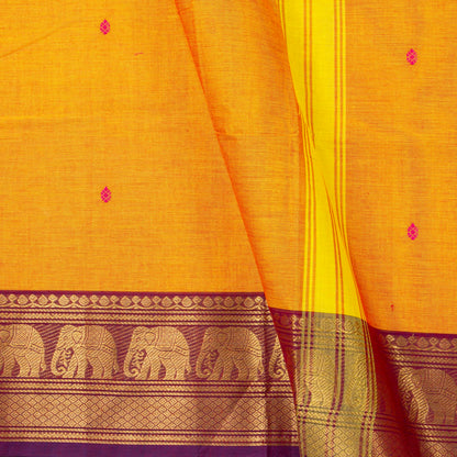 Yellow Kanchi Cotton Saree Ganga Jamuna Border For Festive Wear PV MM KC 764