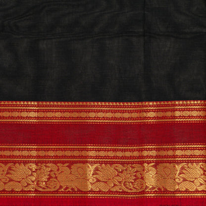 Black And Red Kanchi Cotton Saree For Festive Wear PV MM KC 908