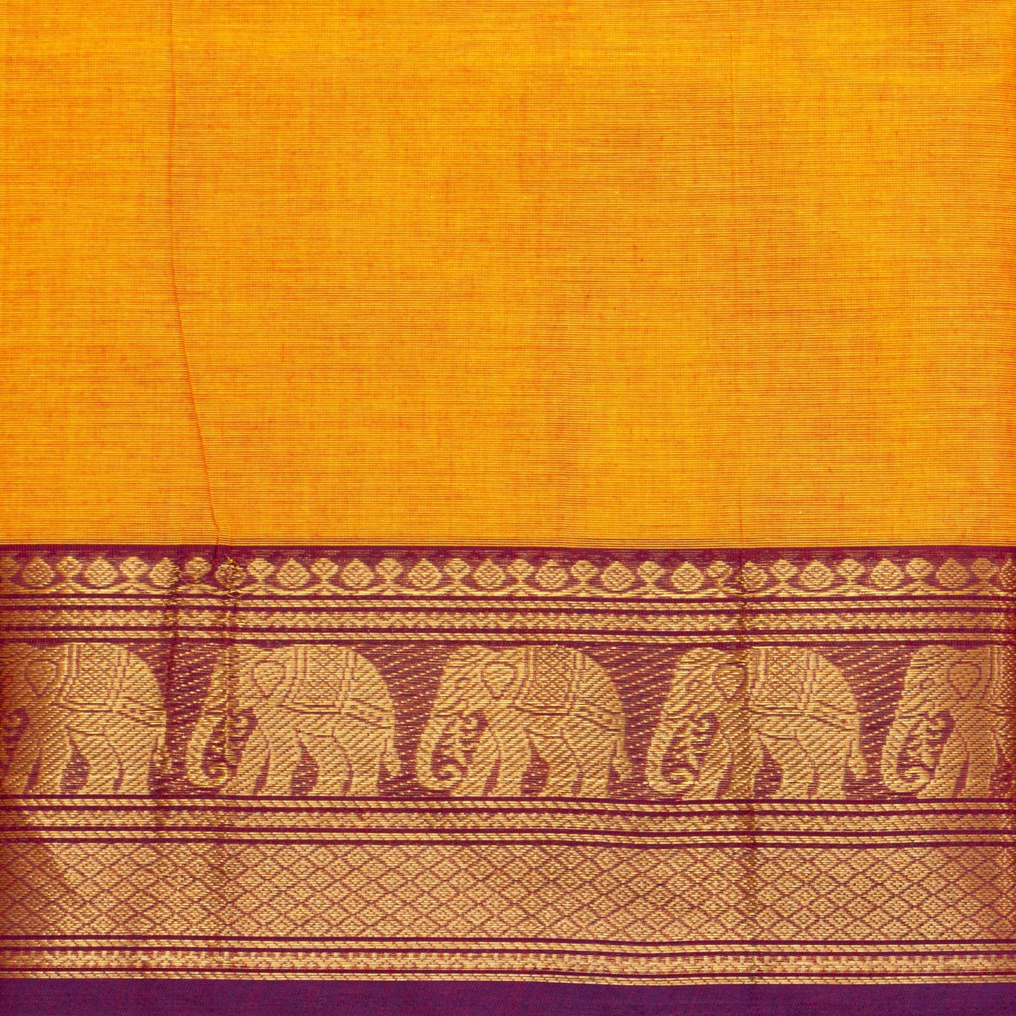Yellow Kanchi Cotton Saree Ganga Jamuna Border For Festive Wear PV MM KC 764