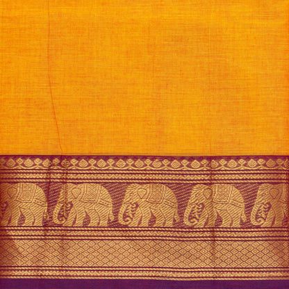 Yellow Kanchi Cotton Saree Ganga Jamuna Border For Festive Wear PV MM KC 764
