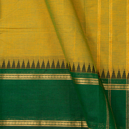 Mustard Kanchi Cotton Saree Ganga Jamuna Border For Festive Wear PV MM KC 703 - Cotton Saree - Panjavarnam PV MM KC 703