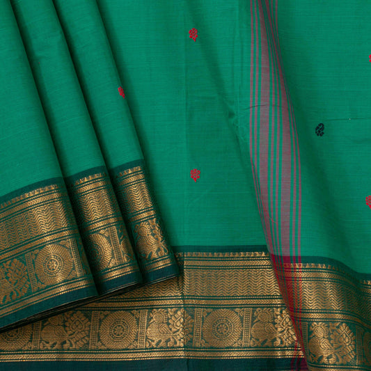 Green Kanchi Cotton Saree Ganga Jamuna Border For Festive Wear PV MM KC 498 - Cotton Saree - Panjavarnam PV MM KC 498