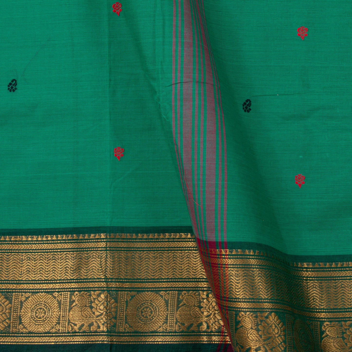 Green Kanchi Cotton Saree Ganga Jamuna Border For Festive Wear PV MM KC 498 - Cotton Saree - Panjavarnam PV MM KC 498