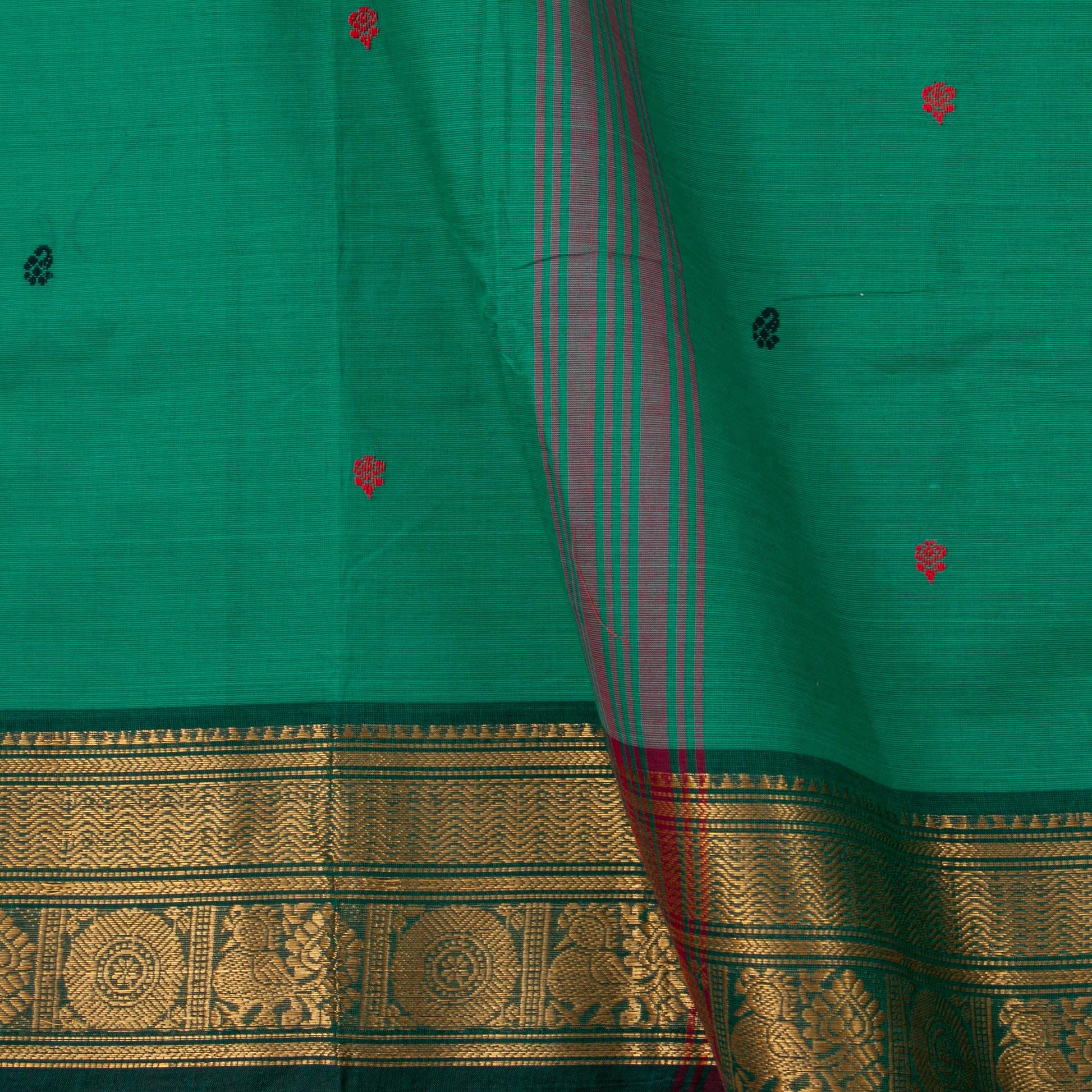 Green Kanchi Cotton Saree Ganga Jamuna Border For Festive Wear PV MM KC 498 - Cotton Saree - Panjavarnam PV MM KC 498