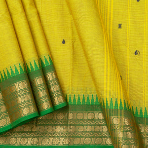 Yellow And Green Kanchi Cotton Saree For Festive Wear PV MM KC 434