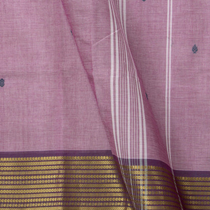 Lilac Kanchi Cotton Saree For Festive Wear PV MM KC 400