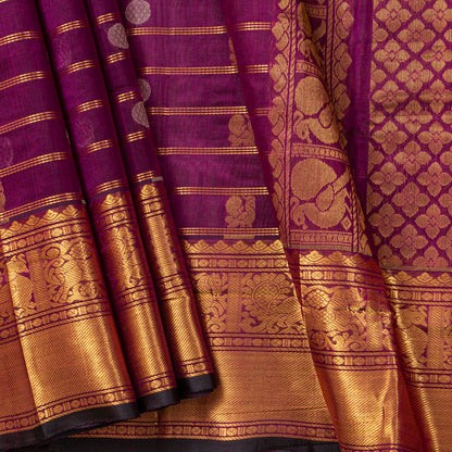 Wine Kanchi Silk Cotton Saree For Festive Wear VP SC 238
