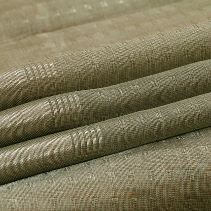 Silver Banarasi Tissue Silk Saree PBT 314