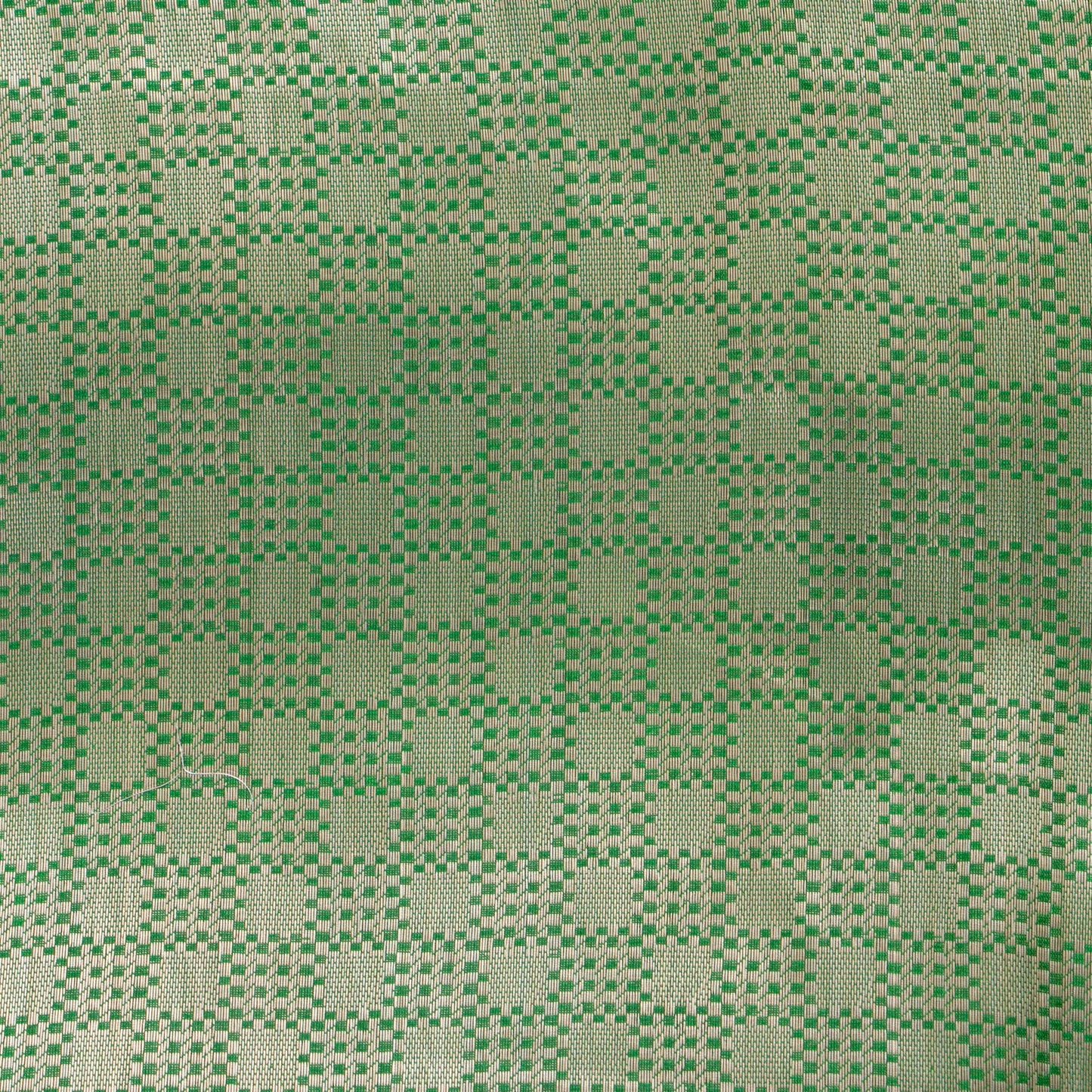 Green Banarasi Tissue Silk Saree PBT 316