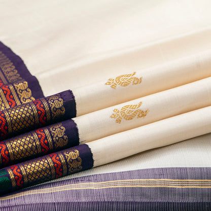 Off White And Aubergine Kanchipuram Silk Saree With Korvai Contrast Borders For Wedding Wear PV NYC 1750