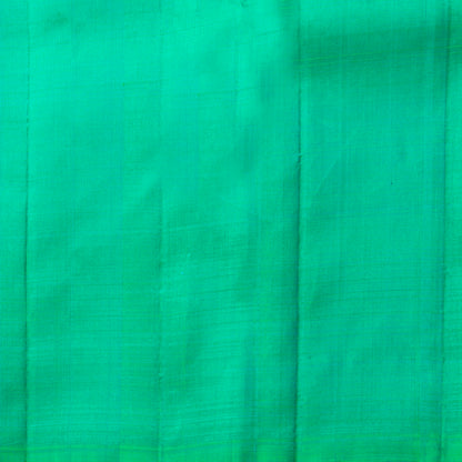 Pink And Turquoise Green Borderless Kanchipuram Silk Saree For Wedding Wear PV NYC 1823