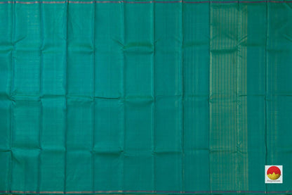 Aqua Blue Borderless Kanchipuram Silk Saree Handwoven Pure Silk Pure Zari PV NYC 639 - Silk Sari - Panjavarnam