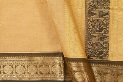 Beige And Brown Kanchi Cotton Saree With Silk Thread Border For Office Wear PV NYC KC 1056 - Cotton Saree - Panjavarnam PV NYC KC 1056