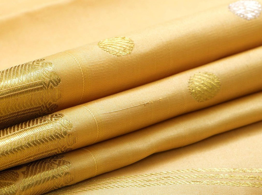 Beige Kanchipuram Silk Saree With Silver And Gold Zari Handwoven Pure Silk Pure Zari For Festive Wear PV SA 2040 - Silk Sari - Panjavarnam