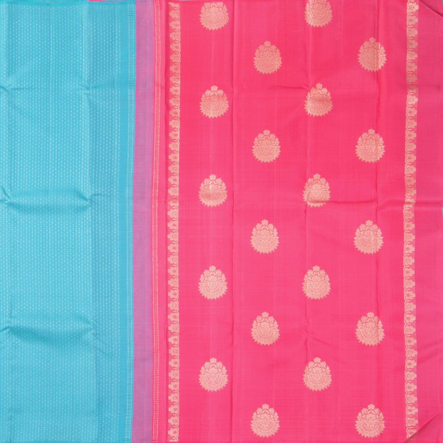 Blue And Pink Kanchipuram Silk Saree Borderless Handwoven Pure Silk For Festive Wear PV NYC 1251 - Silk Sari - Panjavarnam PV NYC 1251