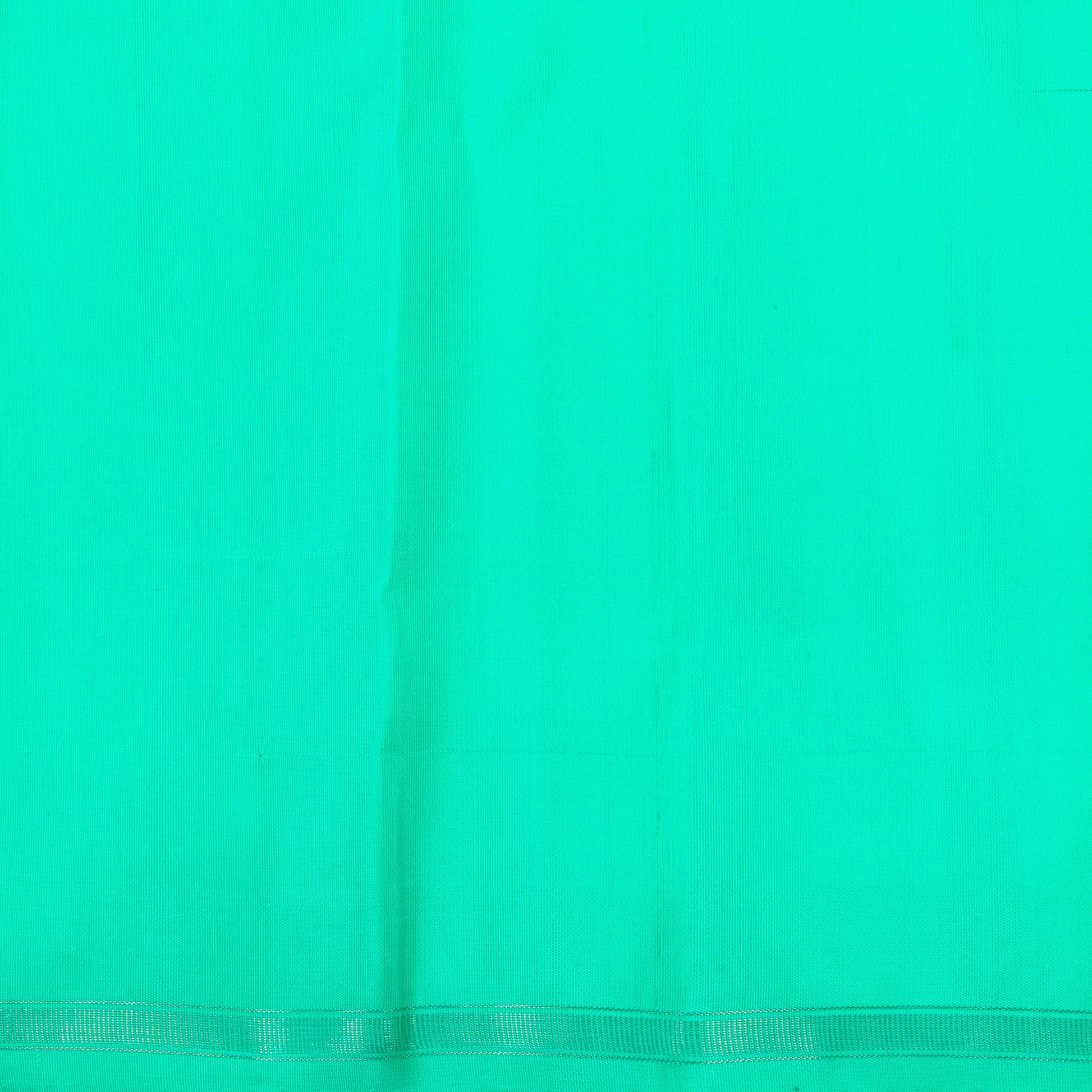 Blue And Sea Green Kanchipuram Borderless Silk Saree For Festive Wear PV NYC 1289 - Silk Sari - Panjavarnam PV NYC 1289