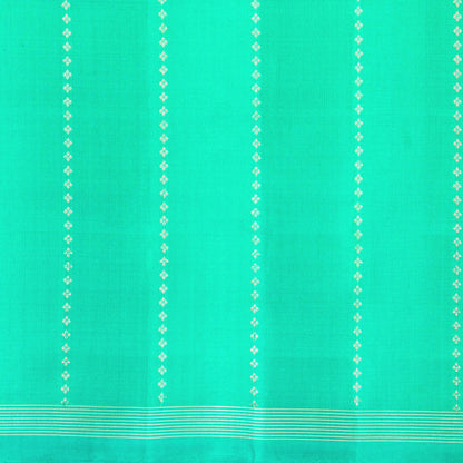 Blue And Sea Green Kanchipuram Silk Saree Borderless Handwoven Pure Silk For Festive Wear PV NYC 1198 - Silk Sari - Panjavarnam PV NYC 1198