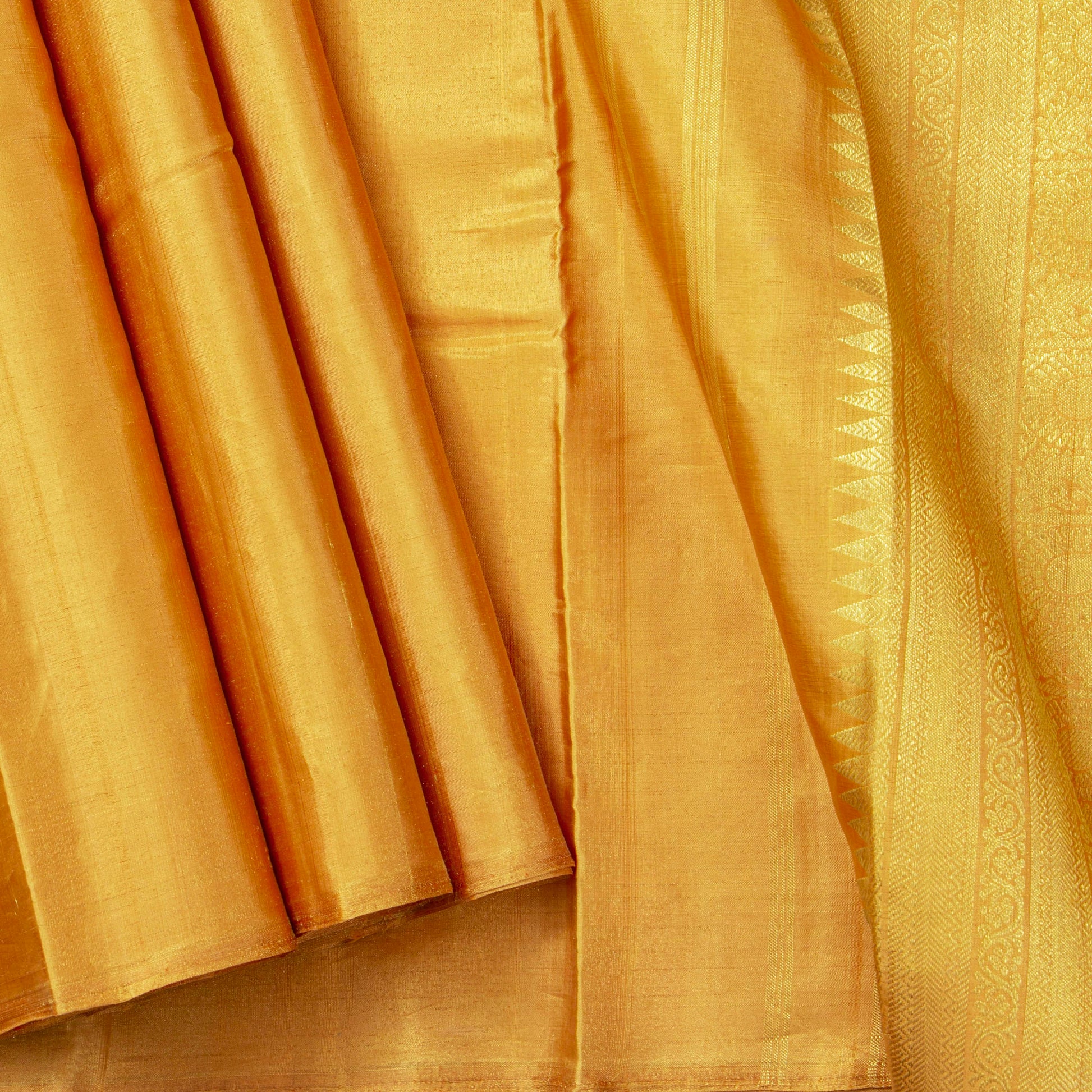 Gold Tissue Borderless Kanchipuram Silk Saree For Wedding Wear PV NYC 1576 - Silk Sari - Panjavarnam PV NYC 1576