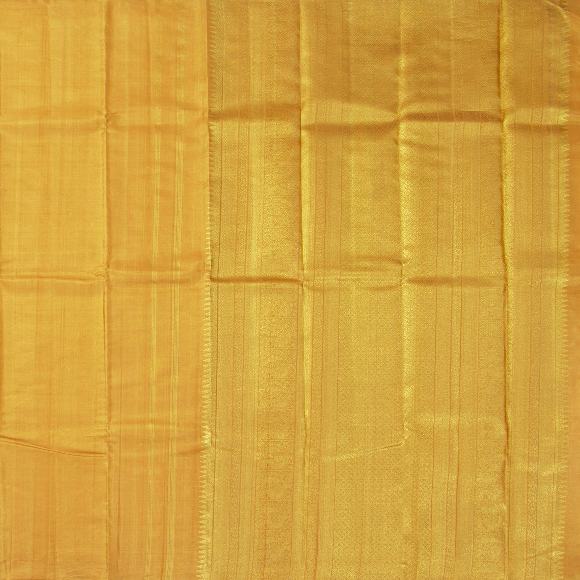 Gold Tissue Borderless Kanchipuram Silk Saree For Wedding Wear PV NYC 1576 - Silk Sari - Panjavarnam PV NYC 1576