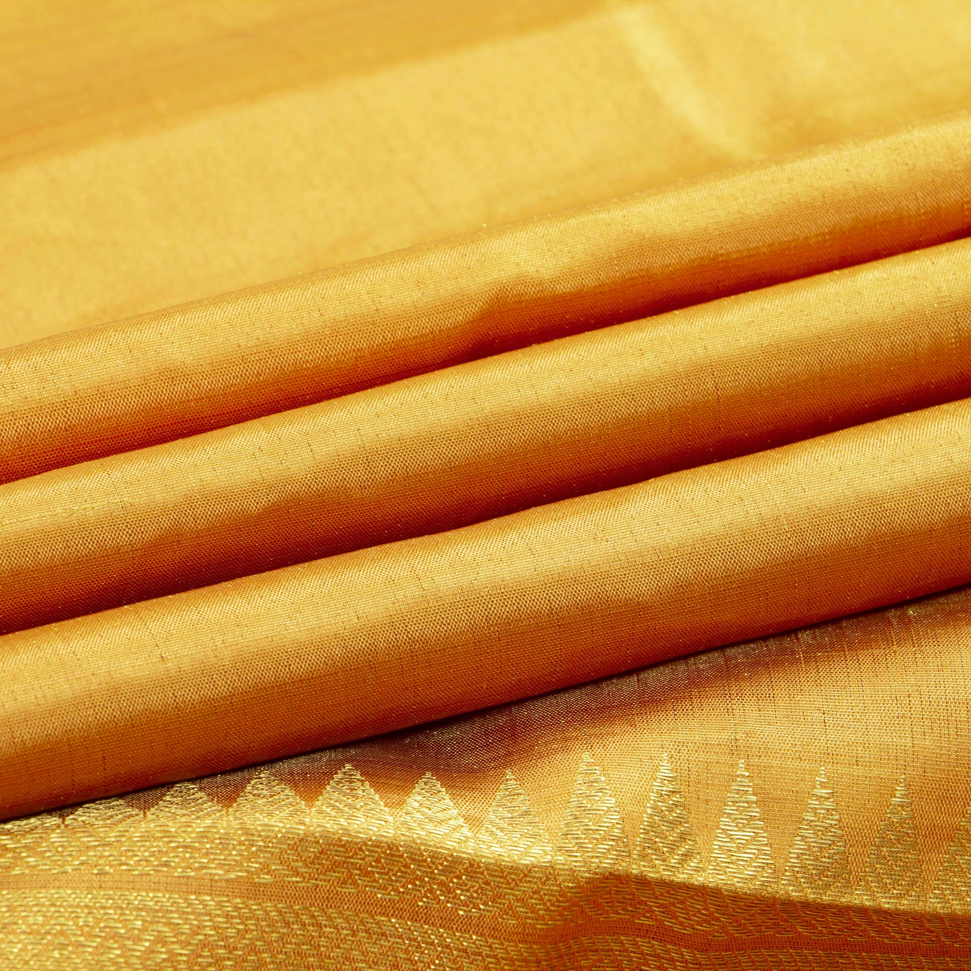 Gold Tissue Borderless Kanchipuram Silk Saree For Wedding Wear PV NYC 1576 - Silk Sari - Panjavarnam PV NYC 1576
