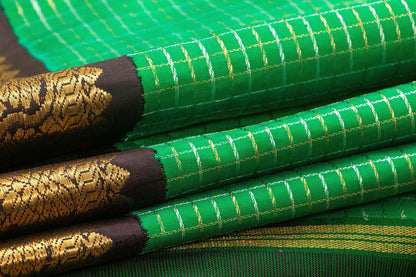 Green And Brown Kanchipuram Silk Saree With Morning Evening Border Handwoven Pure Silk For Wedding Wear PV NYC 1052 - Silk Sari - Panjavarnam