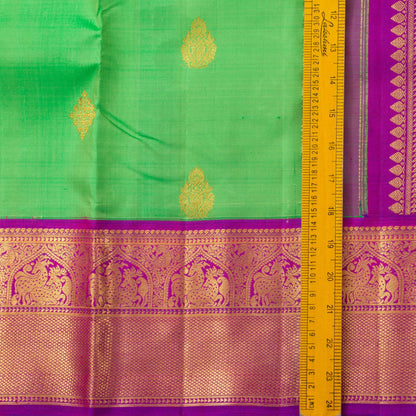 Green And Magenta Kanchipuram Silk Saree With Morning Evening Border Handwoven Pure Silk For Wedding Wear PV NYC 1224 - Silk Sari - Panjavarnam PV NYC 1224