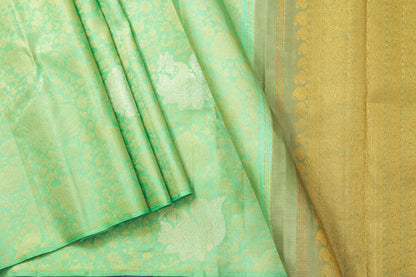 Green Borderless Kanchipuram Silk Saree Handwoven Pure Silk Pure Zari For Festive Wear PV NYC 1015 - Silk Sari - Panjavarnam