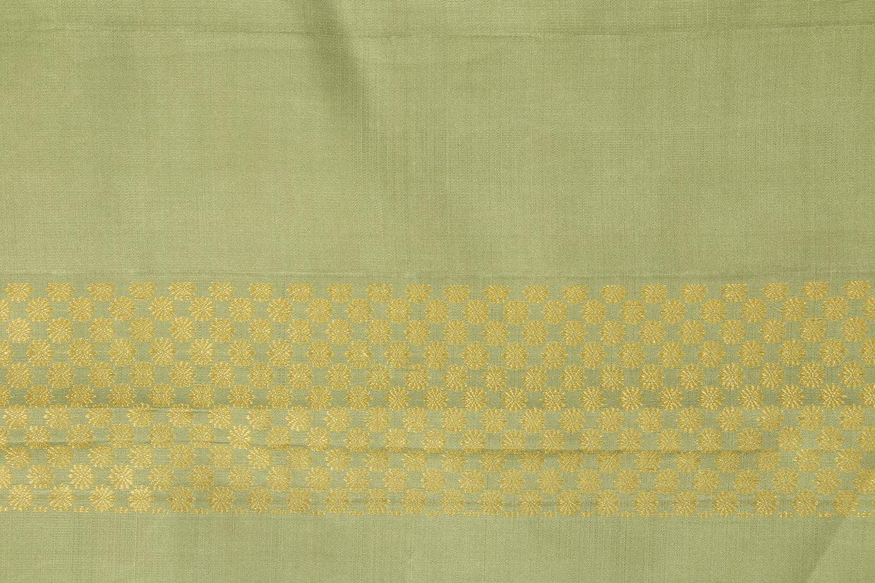Green Borderless Kanchipuram Silk Saree Handwoven Pure Silk Pure Zari For Festive Wear PV NYC 1015 - Silk Sari - Panjavarnam