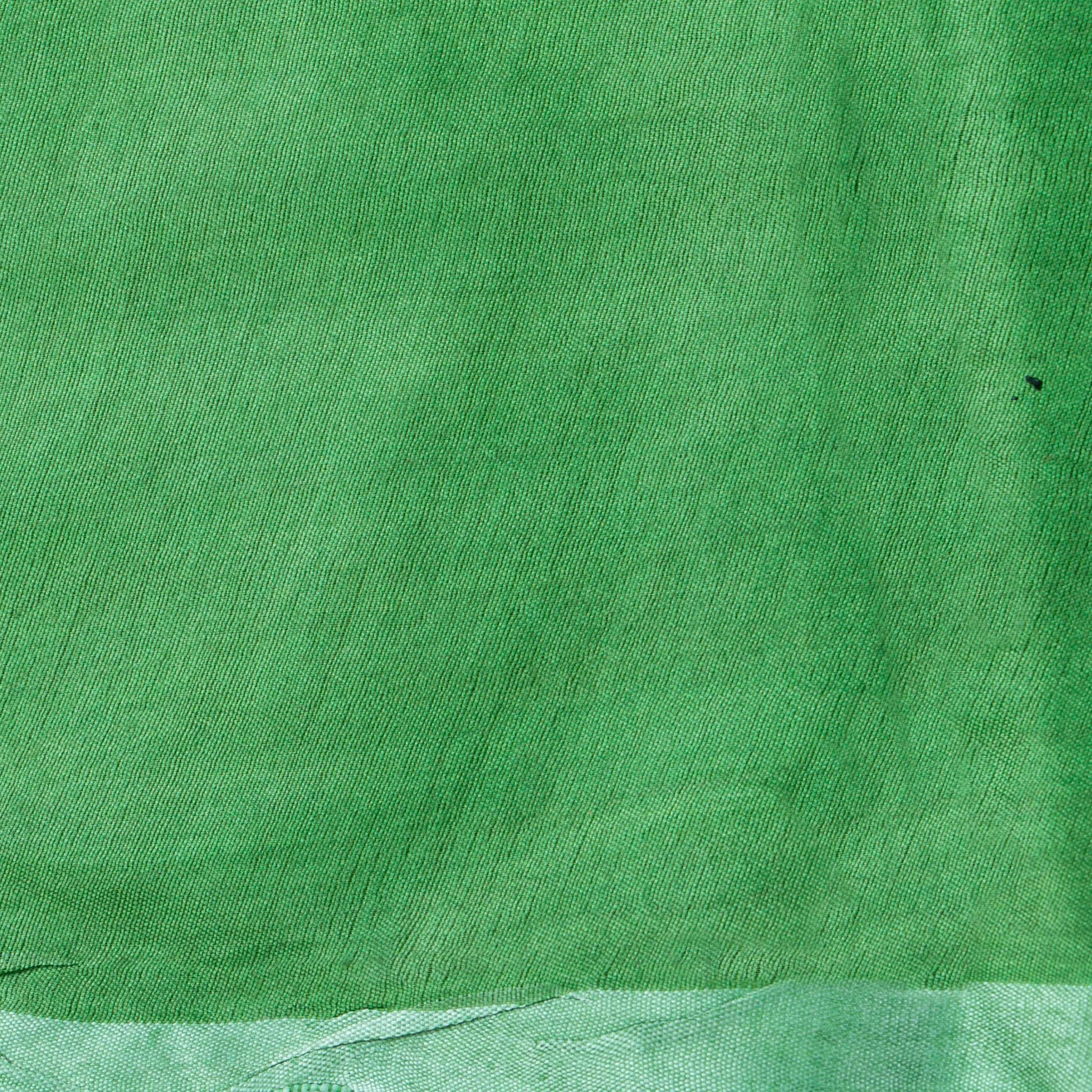 Green Tussar Silk Saree Handwoven PT 2083 - Tussar Silk - Panjavarnam PT 2083