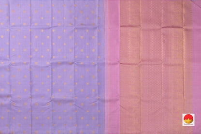 Kanchipuram Silk Saree - Handwoven Pure Silk - Pure Zari - Borderless - PV NYC 572 - Silk Sari - Panjavarnam